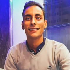 Mahmoud Ali Attia