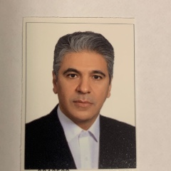 Mohammad Farmahini Farahani