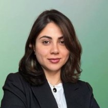 FATEMEH ALAMI